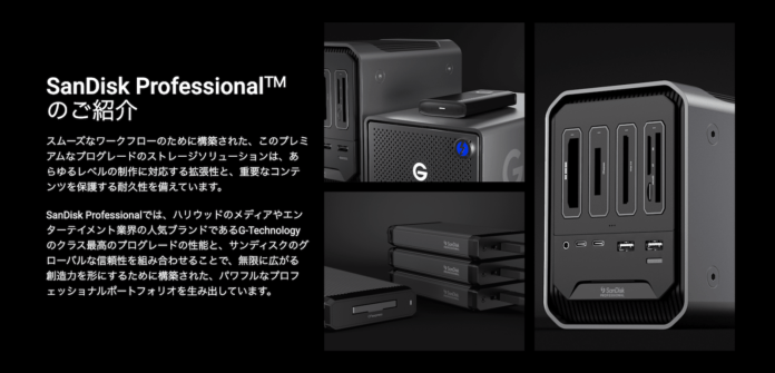 sandisk-professional